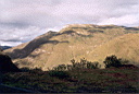 kuelap095.jpg