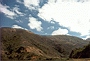 lim-chh005.jpg