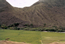lim-chh007.jpg