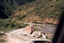 lim-chh027.jpg