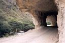 lim-chh033.jpg