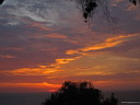 img_5491.jpg