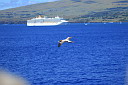 img_3706.jpg