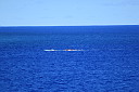 img_4047.jpg