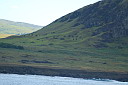 img_4215.jpg