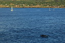 img_4567.jpg