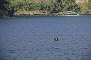 img_4741.jpg