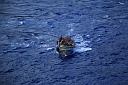 img_4840.jpg
