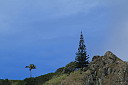 img_4986.jpg