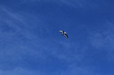 img_5047.jpg