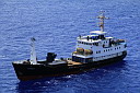 img_5133.jpg