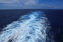 img_5585.jpg