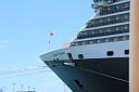 img_6084.jpg
