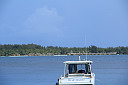 img_6733.jpg