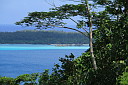img_6781.jpg