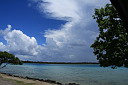 img_7149.jpg