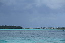 img_7159.jpg