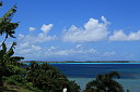 img_7242.jpg