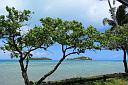 img_7311.jpg