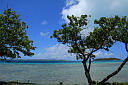 img_7315.jpg