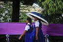 img_7999.jpg