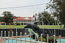 img_8198.jpg