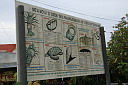 img_8303.jpg