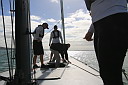 img_8658.jpg