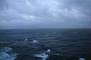 img_9129.jpg
