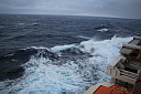 img_9240.jpg