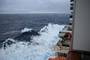 img_9250.jpg