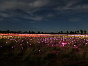 img_3606.jpg