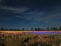 img_3621.jpg
