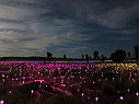 img_3623.jpg