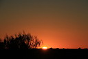 img_9779.jpg