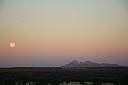 img_9787.jpg