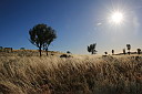 img_9849.jpg