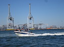 img_4263.jpg