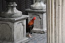img_0387.jpg