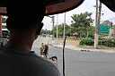 img_0466.jpg