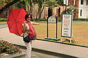 img_0528.jpg
