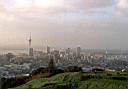 Auckland from Mt Eden