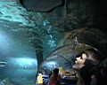 tunnel