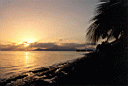 Moorea