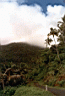 near Falefa falls