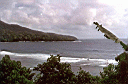 coming to Fagaloa Bay