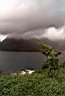 Fagaloa Bay