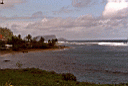 Aleipata district