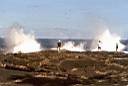 Taga Blowholes