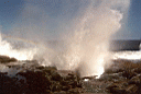 Taga Blowholes